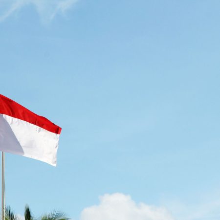 esim 1GB 7D ID V2