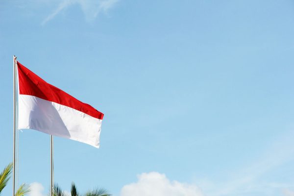 esim 1GB 7D ID V2