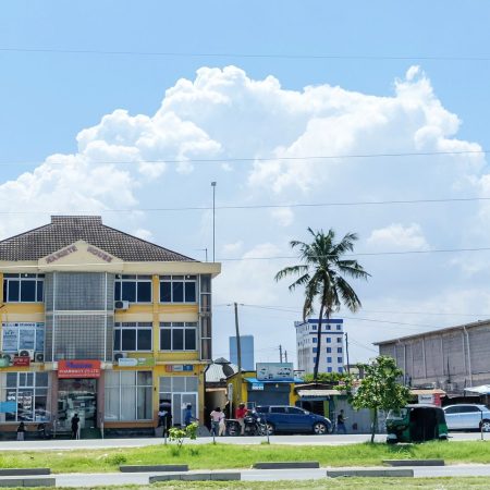 esim 1GB 7D LR V2