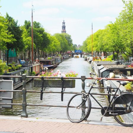 esim 1GB 7D NL V2